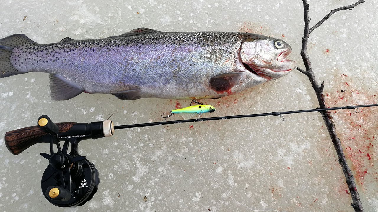 Ловля форели на ратлины зимой, лучшие вибы для ловли радужки со льда