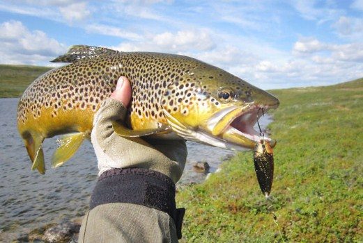 Рыбалка на Кольском полуострове - реальный фото отчет и карта рыболовных мест