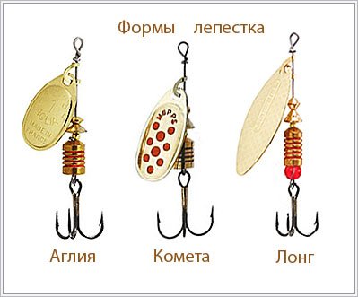 Форма лепестка