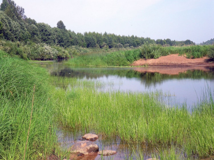 Летняя и зимняя рыбалка в Новгородской области