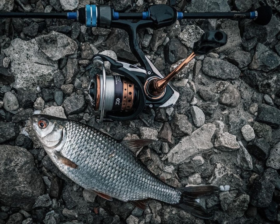 Азы мормышинга для начинающих: приманки, снасти, тактика ловли