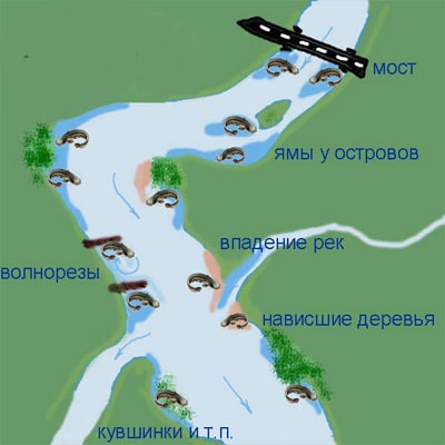 Ловля сома на квок: полное руководство для новичков с нуля
