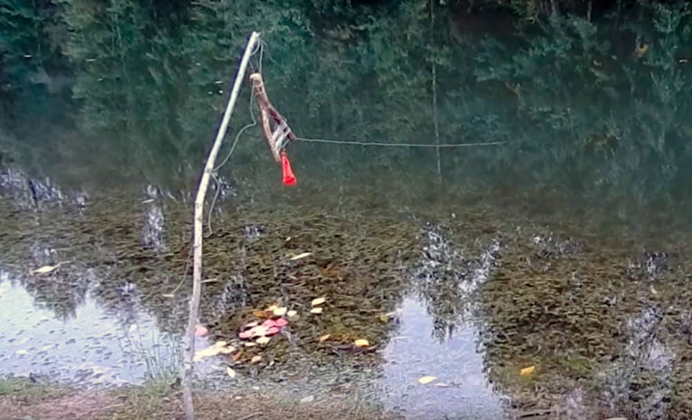 Ловля щуки на живца осенью с берега и лодки: поплавок, донка, кружки