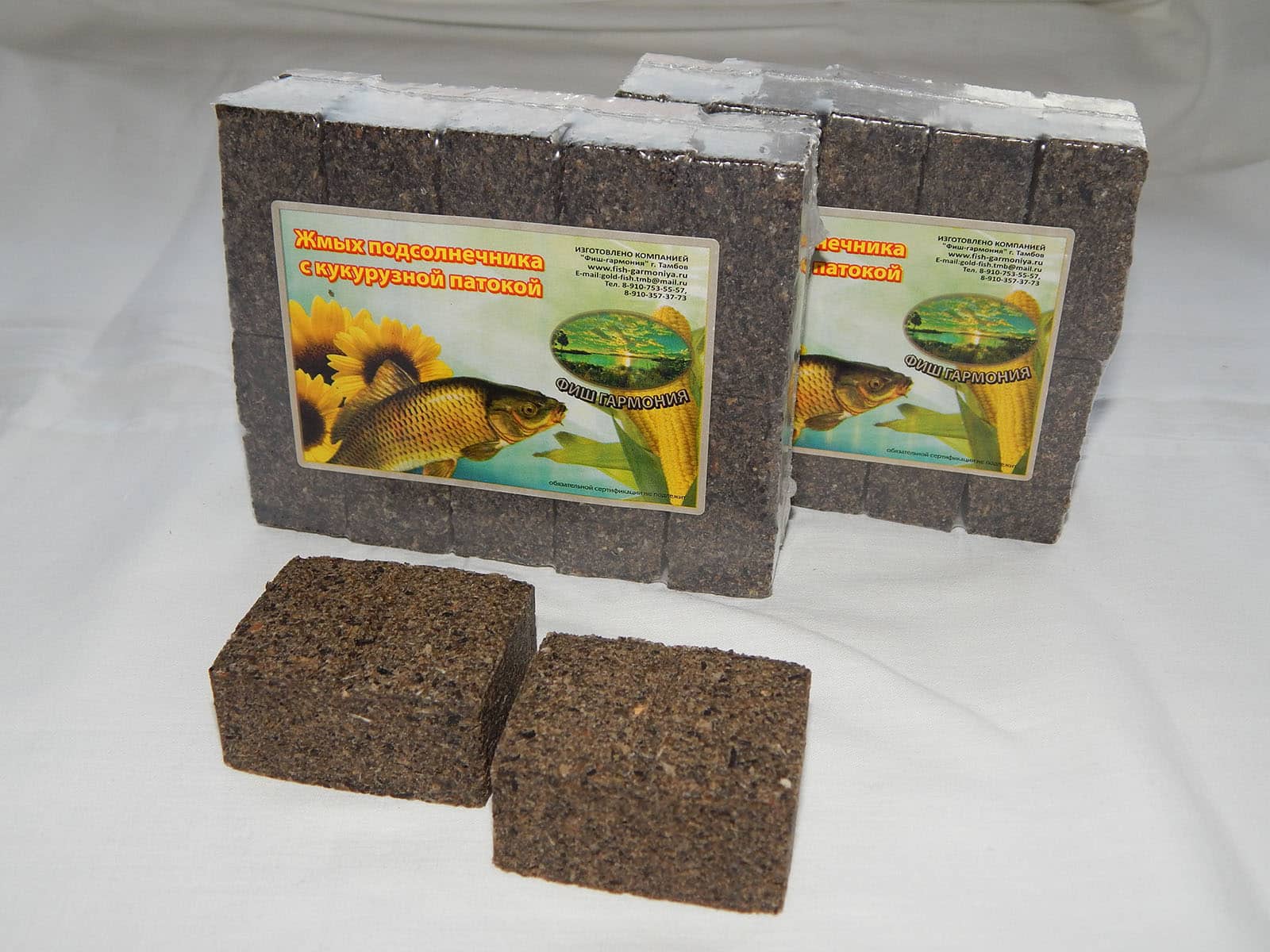 Ловля сазана осенью: где искать и на что ловить