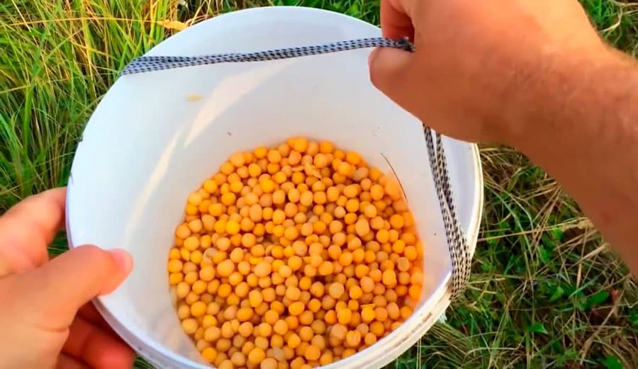 Ловля леща весной на поплавок, фидер, донку