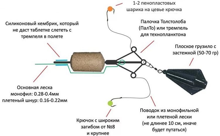 Что за рыба толстолобик, как поймать и как вкусно приготовить рыбу
