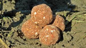 Лучшая прикормка для карпа - рецепты, аттрактанты по холодной и теплой воде