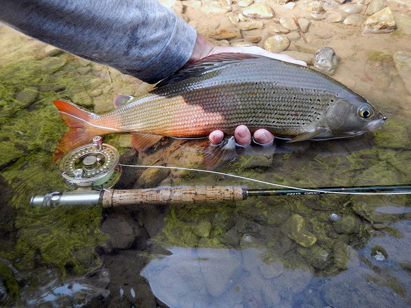 Рыбалка на Кольском полуострове - реальный фото отчет и карта рыболовных мест