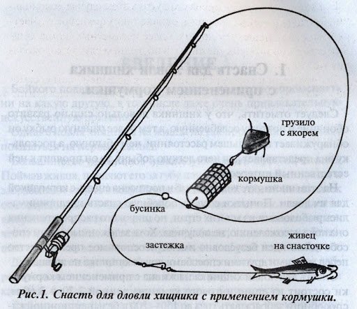 Ловля рыбы в сентябре: рыбалка с берега и лодки, календарь клева