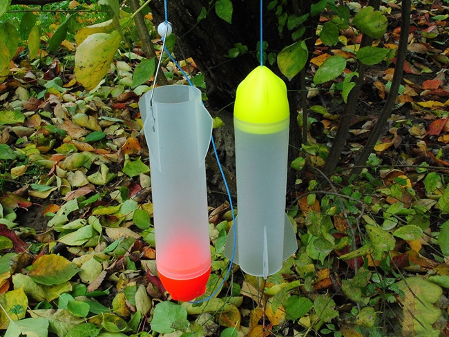 Средства для доставки прикормки при ловле карпа - кобры, рогатки