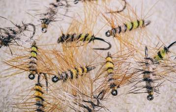 Хариус осенью: места его стоянки, повадки и ловля