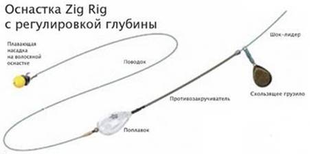 Как связать оснастку Зиг-Риг и как использовать на водоеме при ловле карпа