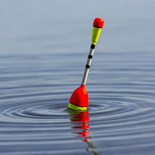 Как поймать осенью живца, сохранить и перевезти на место рыбалки