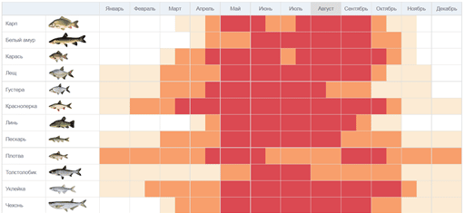 Рыбалка на Дону - лучшие места, календарь, отчеты о рыбалке 2025 года