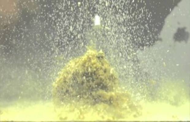 Лучшая прикормка для плотвы: самодельные рецепты и покупные смеси