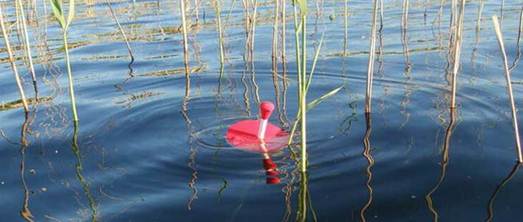 Ловля щуки на кружки: оснастка, где и как ставятся, выбор живца