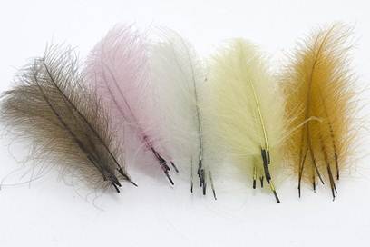 Хариус осенью: места его стоянки, повадки и ловля