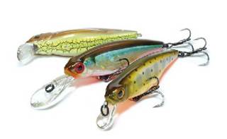 Ловля судака троллингом на воблеры: поиск, снасть и подача