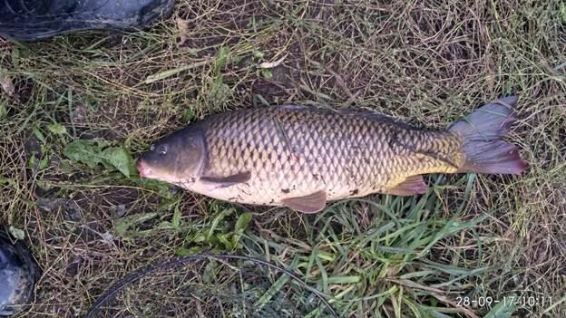 Рыбалка на Ахтубе осенью в сентябре, октябре и ноябре