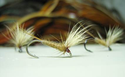 Хариус осенью: места его стоянки, повадки и ловля