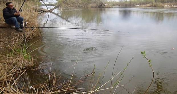 Рыбалка в мае на карася - как и на что ловить?