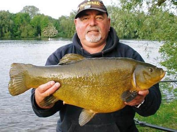 Рыба линь: описание, как найти, поймать и приготовить линя