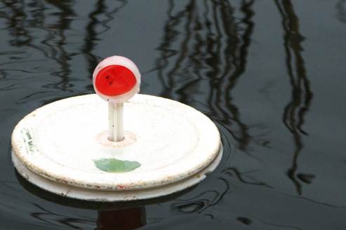 Ловля щуки на кружки: оснастка, где и как ставятся, выбор живца