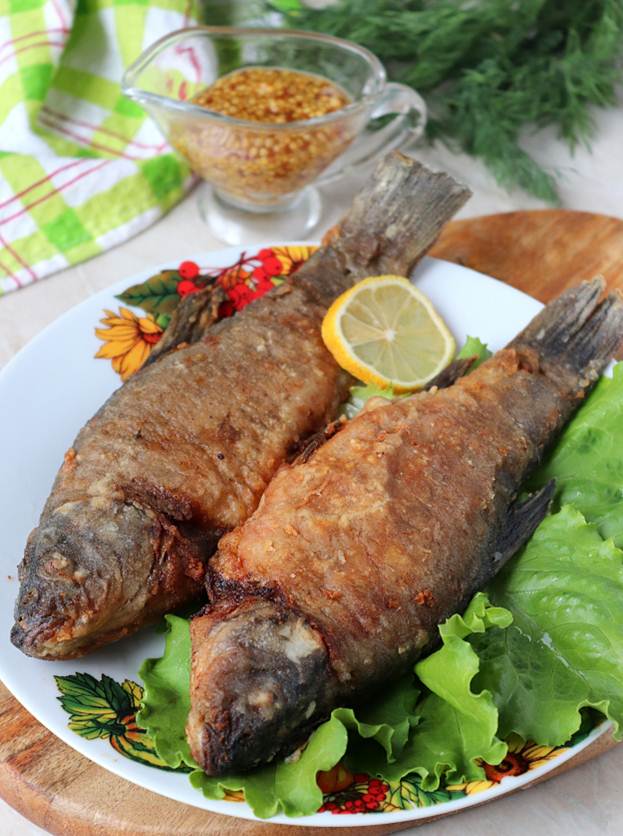 Рыба линь: описание, как найти, поймать и приготовить линя