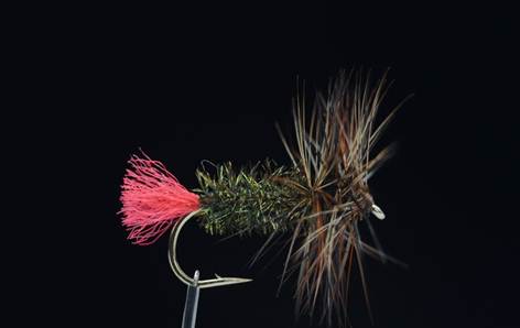 Хариус осенью: места его стоянки, повадки и ловля