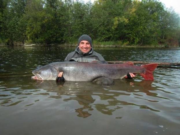 Рыба таймень: описание и фото, как ловить и приготовить