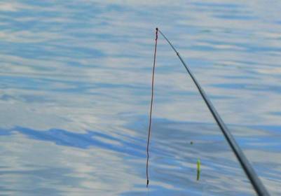 Поводки для рыбалки: виды, как выбрать материал для поводка и изготовить его