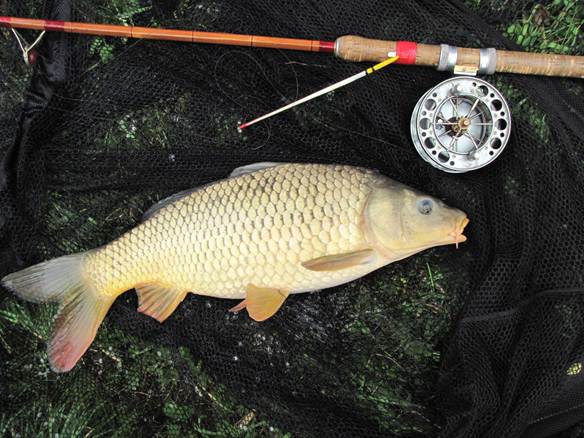 Поплавочная ловля осенью в сентябре, октябре и ноябре - секреты и советы