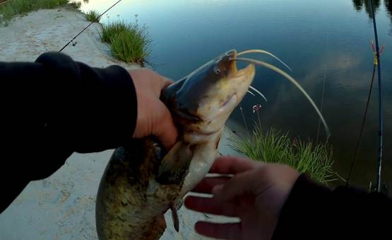 Рыбалка на Ахтубе осенью в сентябре, октябре и ноябре