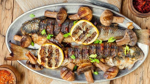 Рыба линь: описание, как найти, поймать и приготовить линя