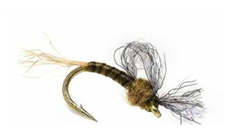 Хариус осенью: места его стоянки, повадки и ловля