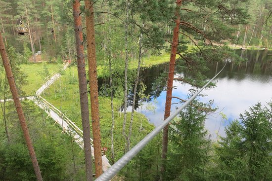 Рыбалка в Ленинградской области - где ловить рыбу на водоемах Ленобласти и СПБ