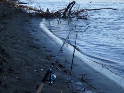 Как выбрать фидерное удилище - лучшие штекерные и телескопические модели