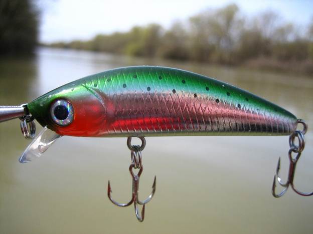 Лучшие воблеры на голавля: ТОП-50 уловистых моделей, как ловить лобастого
