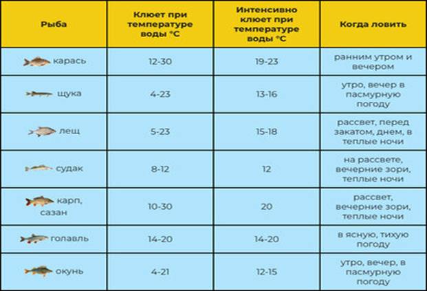 При каком ветре лучше клюет рыба - влияние направления, силы, порывов и резкой смены
