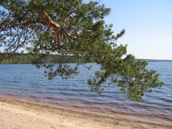 Рыбалка в Ленинградской области - где ловить рыбу на водоемах Ленобласти и СПБ