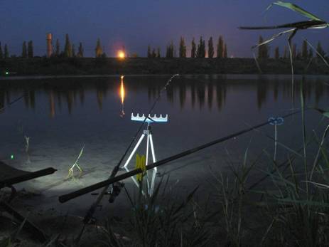 Фидерная ловля для начинающих - что нужно для фидера, как собрать и как ловить