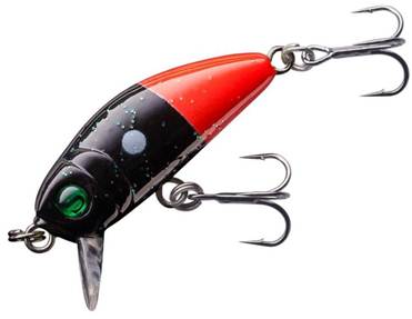 Хариус осенью: места его стоянки, повадки и ловля