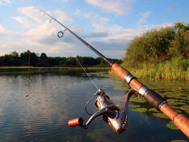 Чем отличается фидер от донки и спиннинга: сравнительная таблица