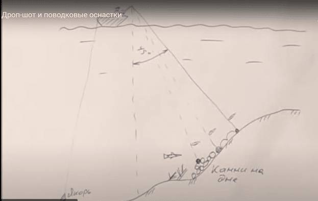 Ловля судака на дроп-шот: оснастка, монтаж с фото, подача и проводка