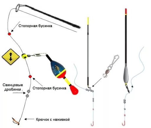 Рыба голец - фото и описание, где обитает, как ловить и готовить