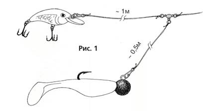 Как выбрать лучшие воблеры на щуку для троллинга: выбор модели