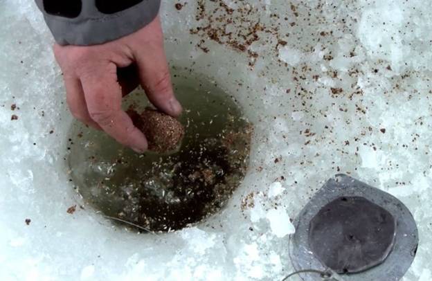 Лучшая прикормка для плотвы: самодельные рецепты и покупные смеси