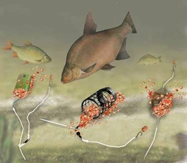 Летняя и зимняя рыбалка в Новгородской области