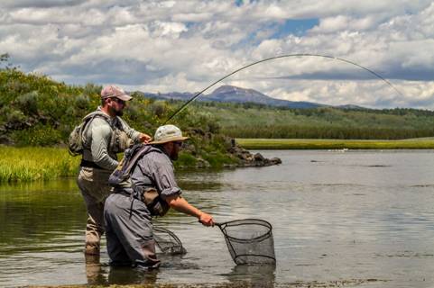 Фидерная ловля для начинающих - что нужно для фидера, как собрать и как ловить