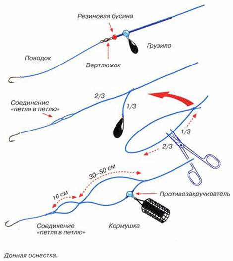 Хариус осенью: места его стоянки, повадки и ловля